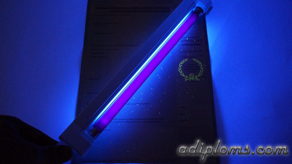 Диплом бакалавра 2004-2009 Фото Диплом бакалавра 2004-2009 Фото