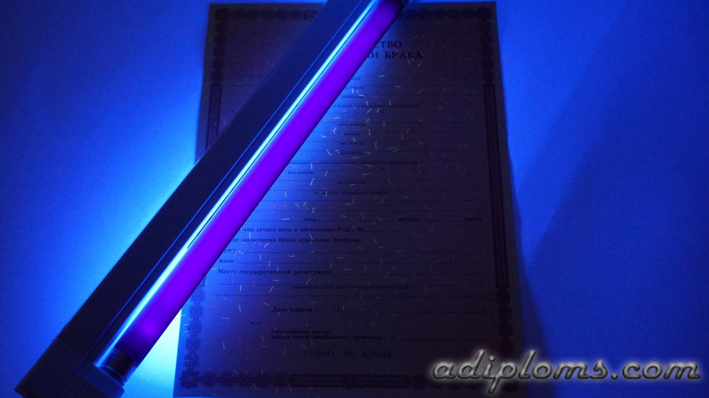 Свидетельство о браке Фото Свидетельство о браке Фото